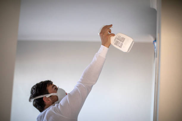 Best Post-Flood Mold Remediation in Wolcottville, IN